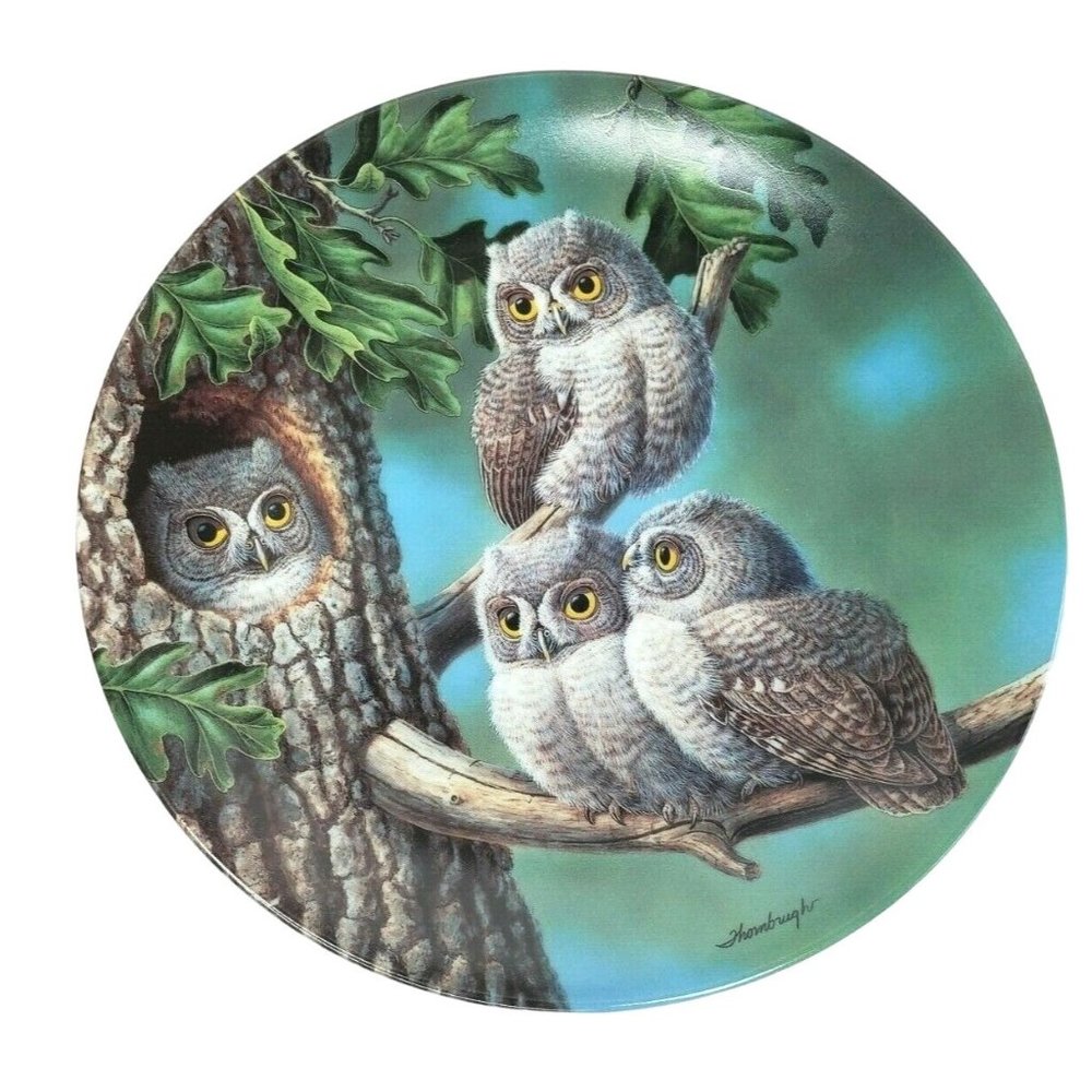 1991 Edwin M. Knowles Peek-a-Whoo Screech Owls Limited Edition Plate